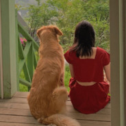 一枪未开花斑虎