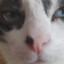 davidemmb4's avatar
