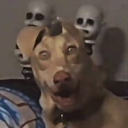 666.exe