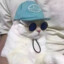 清风沐于林海