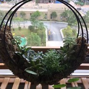 梁二胖是个大头鬼