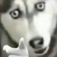 八百标兵奔北坡M