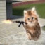 Papa Cat