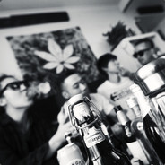 戴高乐的高乐高