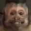 arsisti
