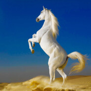 TheHorse2309 Steam avatar