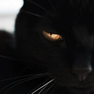 𝔊𝔲𝔧𝔞.ツ