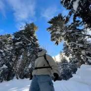 сигма бульбамёт 30