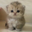 Lithium's avatar