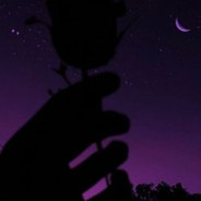 ✔ - steam id 76561197961478683