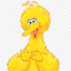 Big Bird