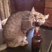 去他 MeoW KaK.KoTSsss??>...