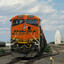 mike wright