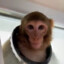 Yago