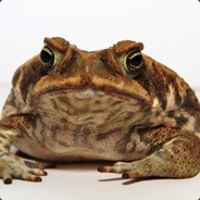 Toad