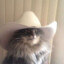 wrenfloof