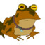 Hypno Toad