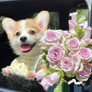 我就不会打游戏