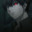Nightmare