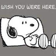 been missing you
