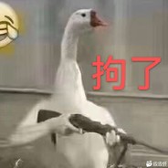 人生何处不相逢