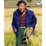 翻斗花园胡英俊