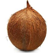 TheFreshCoconut