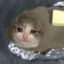 new acc under same name