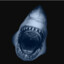 Cybershark
