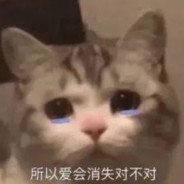 没时间狐闹了捏