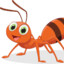 Ant Inside Your Cupboard