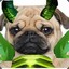 Pugna&#039;s Big Day Out