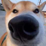 你知道我什么水分