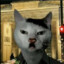 kitler