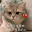 这不有了吗