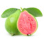 guava_lover