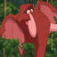 Tantor