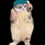 ChipiChipi