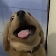 就这水平别压力911