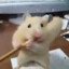 RattoIngordo