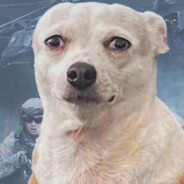 Sad Dog.