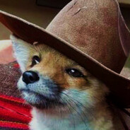 Fox.
