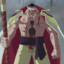 WhiteBeard