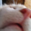 Zzzz