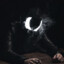sleepwalker