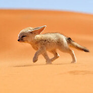 V.Fox^(Oma Erna)