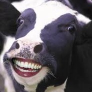 happycow