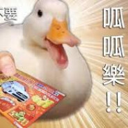 進來叫大哥等著被人割