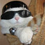 henk666
