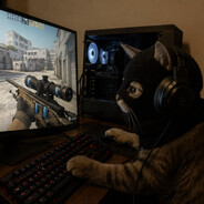 MrWiskers